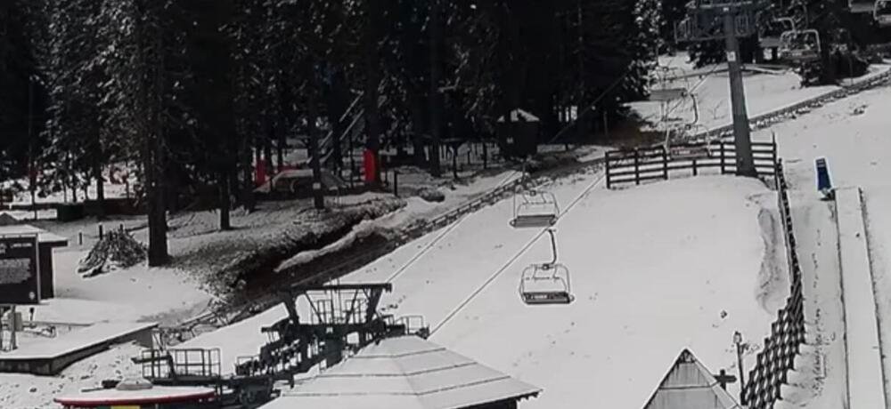 U ovom delu Srbije sneg pada već 24 sata: Zavejalo kao da je januar, ne vidi se prst pred okom (FOTO)