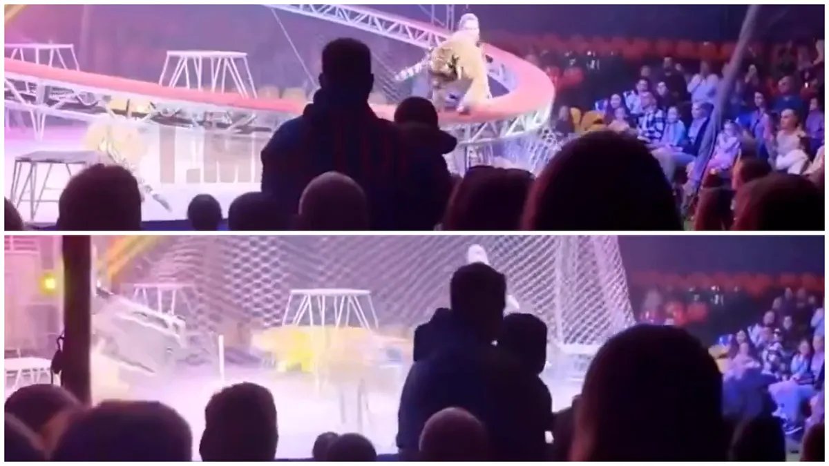 Vrištali i bežali: Tigar skočio na uspaničenu publiku tokom cirkuske predstave u Rusiji (VIDEO)