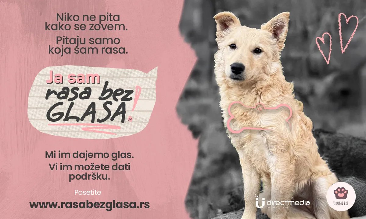 "Rasa bez glasa": Poziv na podršku napuštenim životinjama