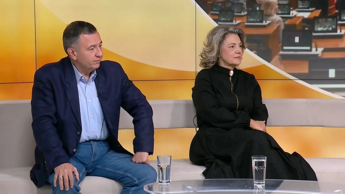 Gosti N1 o rečniku Skupštine: Strahoviti strah i frustracija, najcrnja strana duše na površini, imamo Alek Babu i njegovih par stotina razbojnika