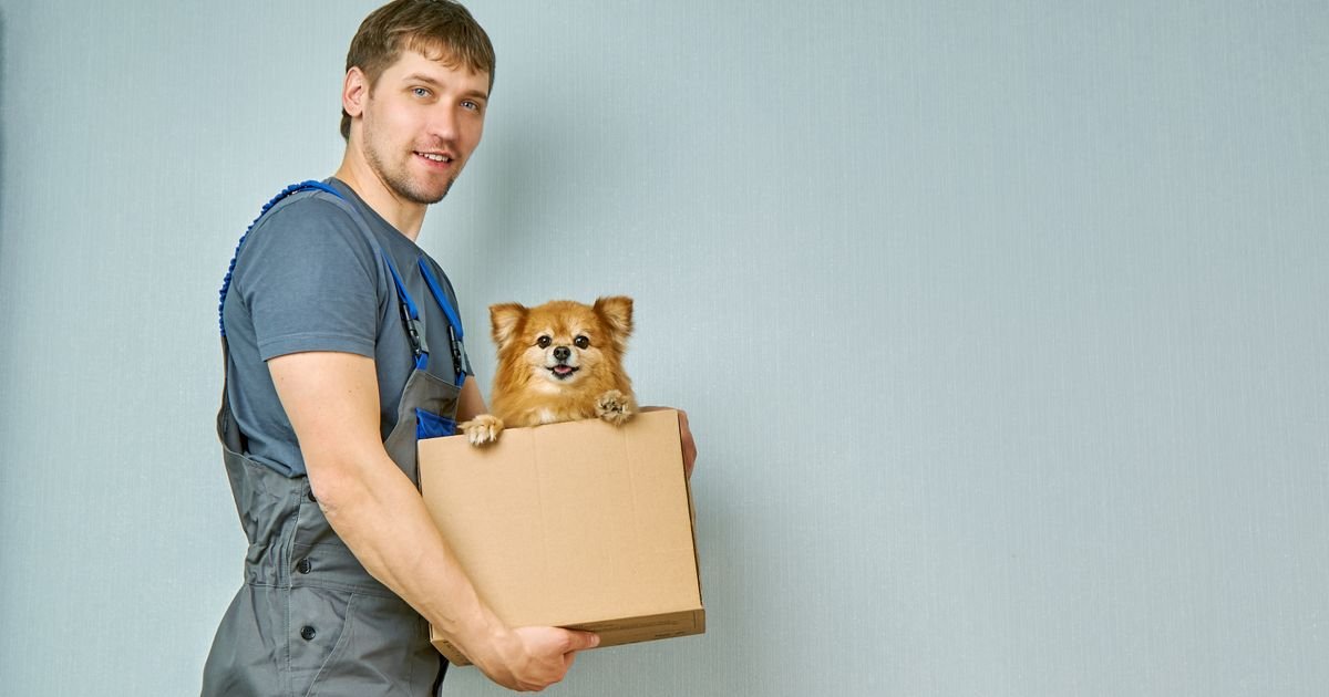 Dostavljač panično preskočio ogradu zbog labradora: Snimak sa kućne kamere nasmejao milione ljudi