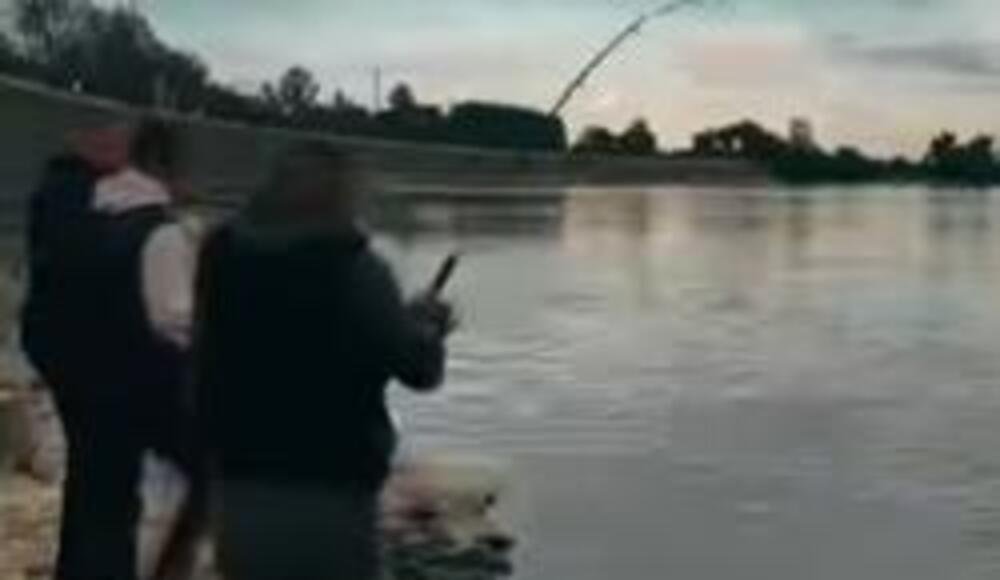 Na ovo je čekao 25 godina: Aleksandar iz Dunava upecao kapitalca od preko 30 kg - ljudi ne veruju šta je izvukao