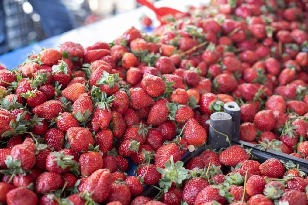 Nisu sve jagode slatke, a uz par trikova ćete izabrati najslađe na pijaci: Na ove stvari obratite pažnju