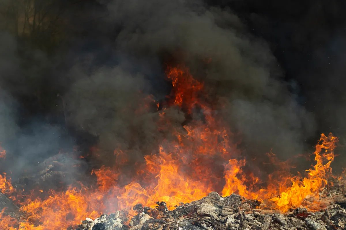 Požari u Džordžiji i na Floridi: Spaljeno skoro 50 kuća