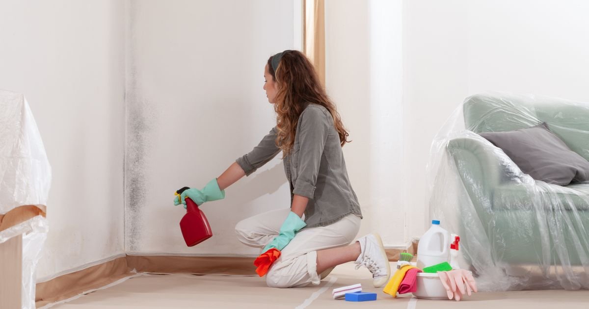 Samo kap je dovoljna: Bube će pobeći glavom bez obzira kada osete miris ovog ulja, isprobajte što pre