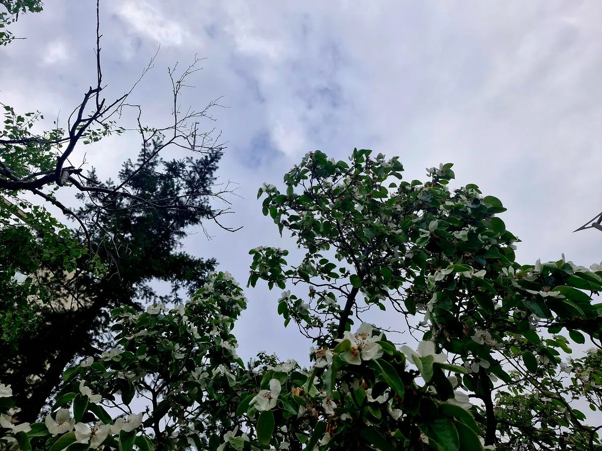 Jutro donelo niske temperature, ponegde i mraz