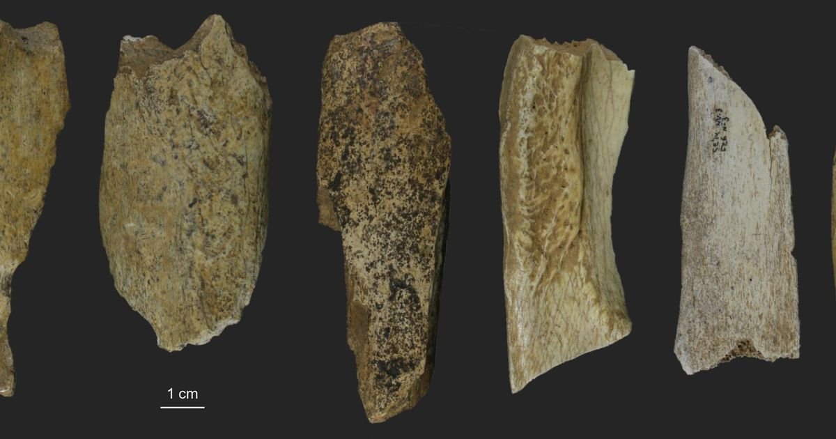 Nova metoda otkrila nepoznate strategije preživljavanja iz doba paleolita