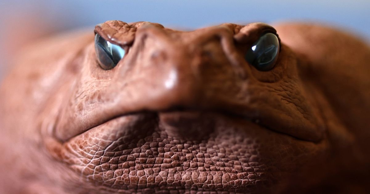 Spektakularno otkriće: Evolucija ovih stvorenja brža je nego što je iko očekivao