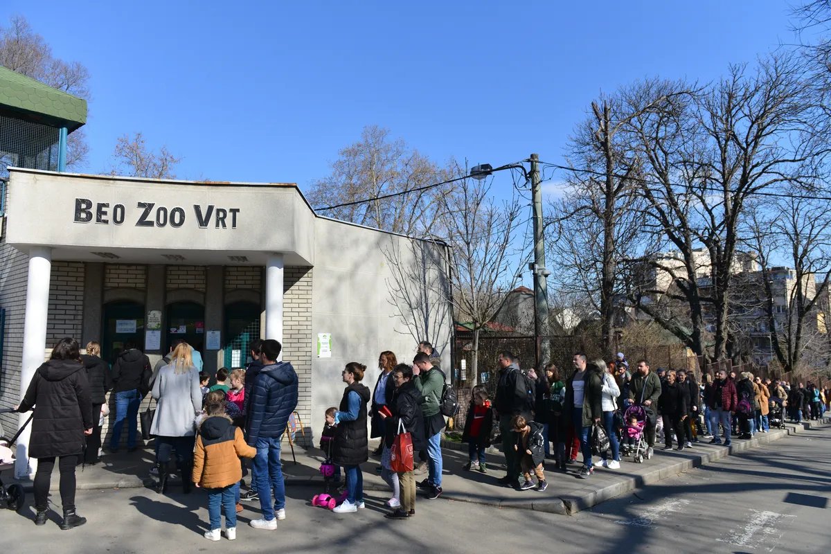 Belgrade Zoo sees first camel birth in decades