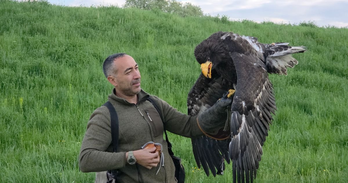 Ogroman orao proleteo nam je pored glave na 2 km od centra Beograda: Nismo ni znali da je on nečiji mezimac!
