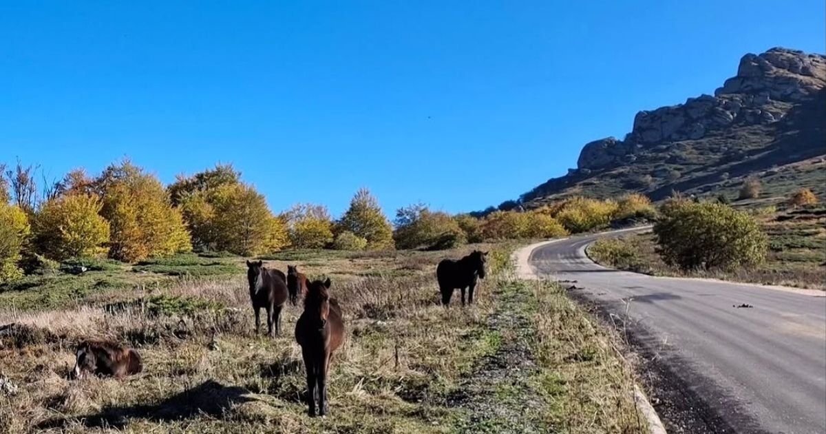 Kao da ste u Švajcarskoj: Prelepi pogledi sa srpske planine izazivaju posebno oduševljenje