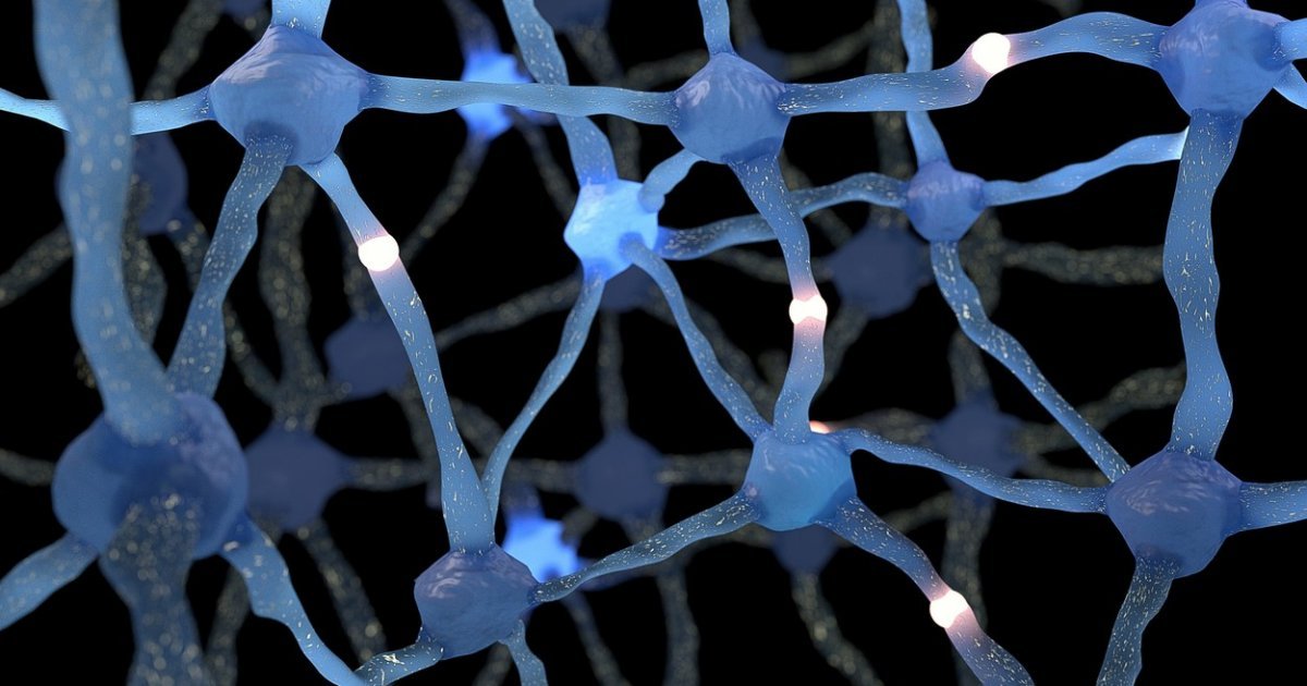 Novootkrivena moždana mreža je „tajni sistem“ sačinjen od pomoćnih ćelija