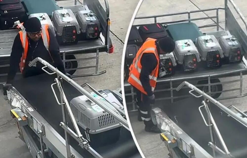 "Nadam se da će ova poruka stići do tebe..." Aleksandra snimila neverovatnu scenu na aerodromu, ovo topi srca!