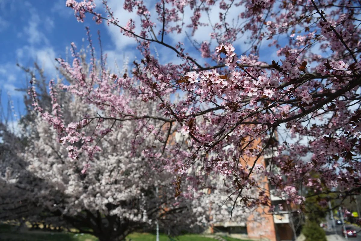 Sunčano i toplo: Do 22 stepena