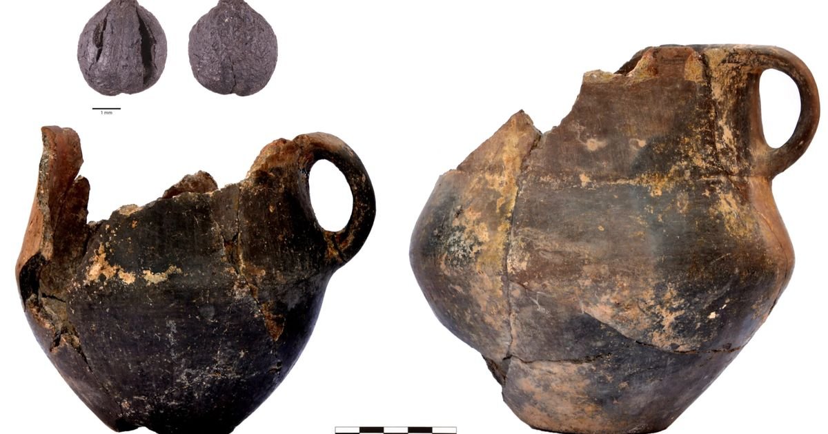 Mlečni proizvodi, voće i napici od grožđa… Naučnici utvrdili šta su jeli i pili narodi Kavkaza bronzanog doba