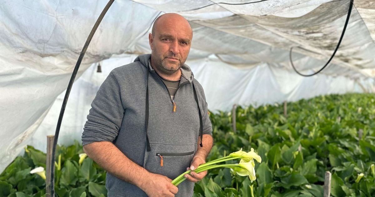 Ovo imanje u srcu Srbije je pravo carstvo: Porodica Galić neguje tradiciju, kod njih dolaze sa svih strana