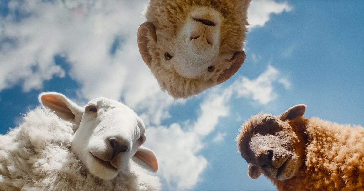 Stižu "Ovce detektivi": Porodična misterija koja će vas nasmejati i dirnuti do suza