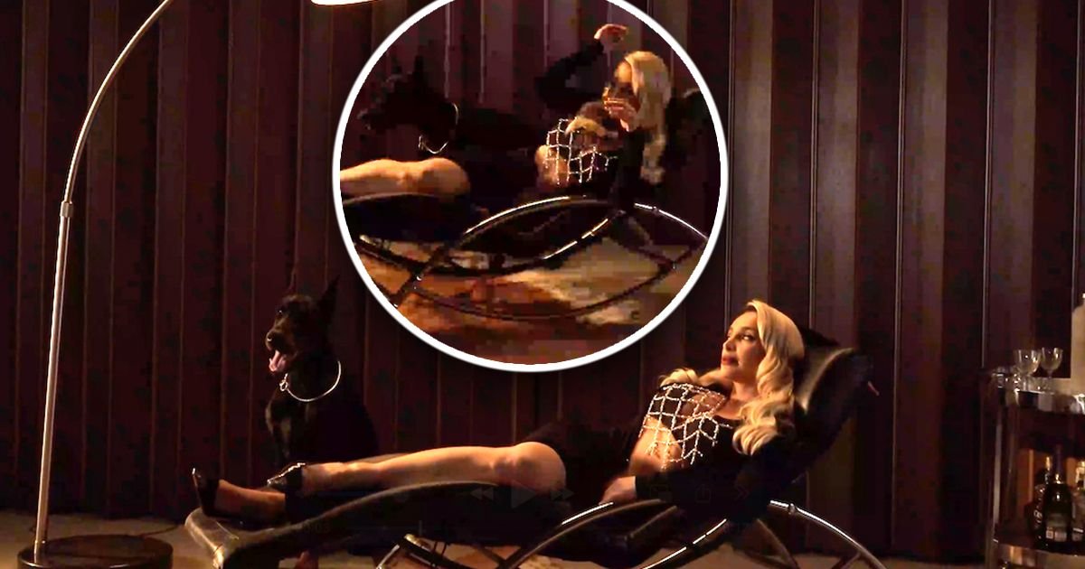 Pas skočio na Maju Berović, ekipa odmah zaustavila snimanje! Haos na setu, pogledajte njenu reakciju