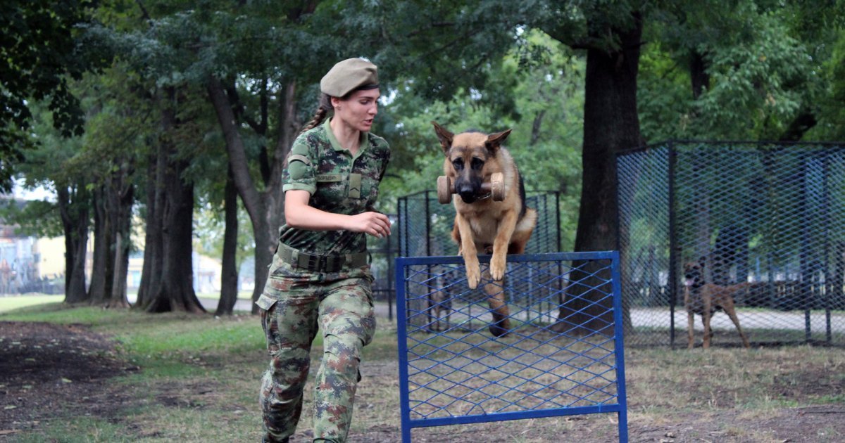 Ovako izgleda osposobljavanje kandidata iz građanstva za podoficire: Oni će obučavati i mladiće na vojnom roku