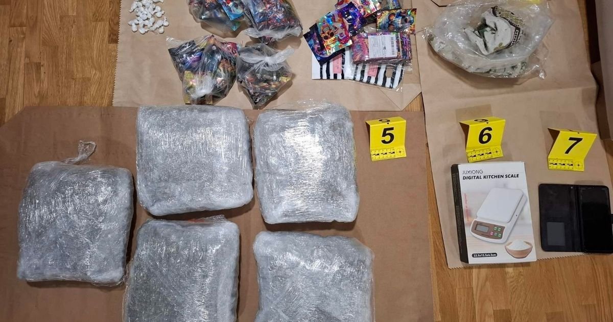 Na Palilui zaplenjeno 5 kilograma marihuane i 80 grama kokaina: Uhapšen osumnjičeni (26)