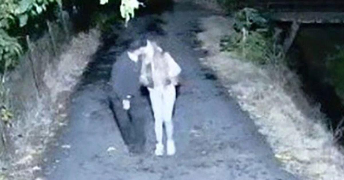 "Može deda da joj bude, šetali su zagrljeni" Isplivali novi detalji afere Sofije Janićijević sa Danetom (70)