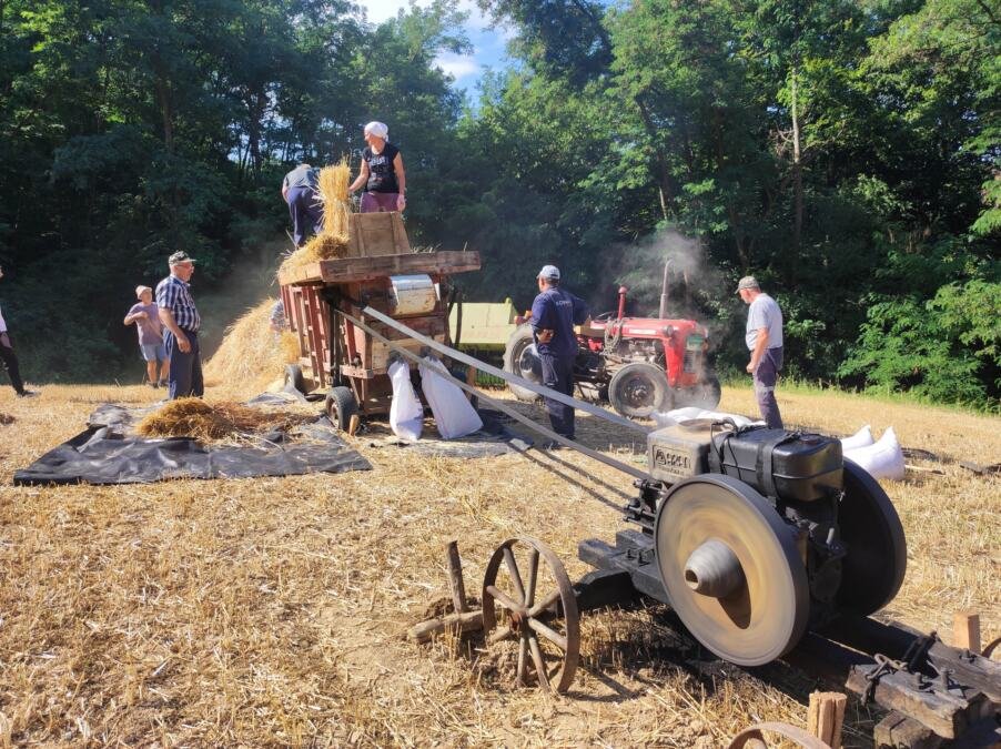 ZLATNA BUKLIJA ZA "ARAN": Novo priznanje Pantelićima u Velikoj Plani (FOTO)