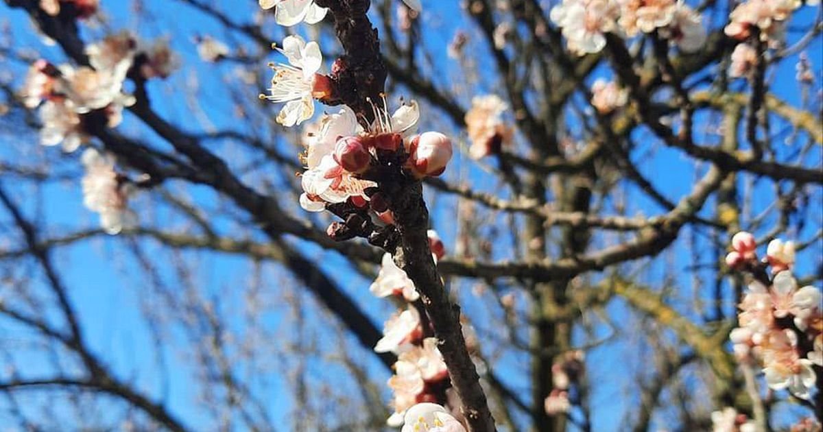 Dan koji prija telu, ali traži jednu važnu meru opreza: Bioprognoza za 25. april