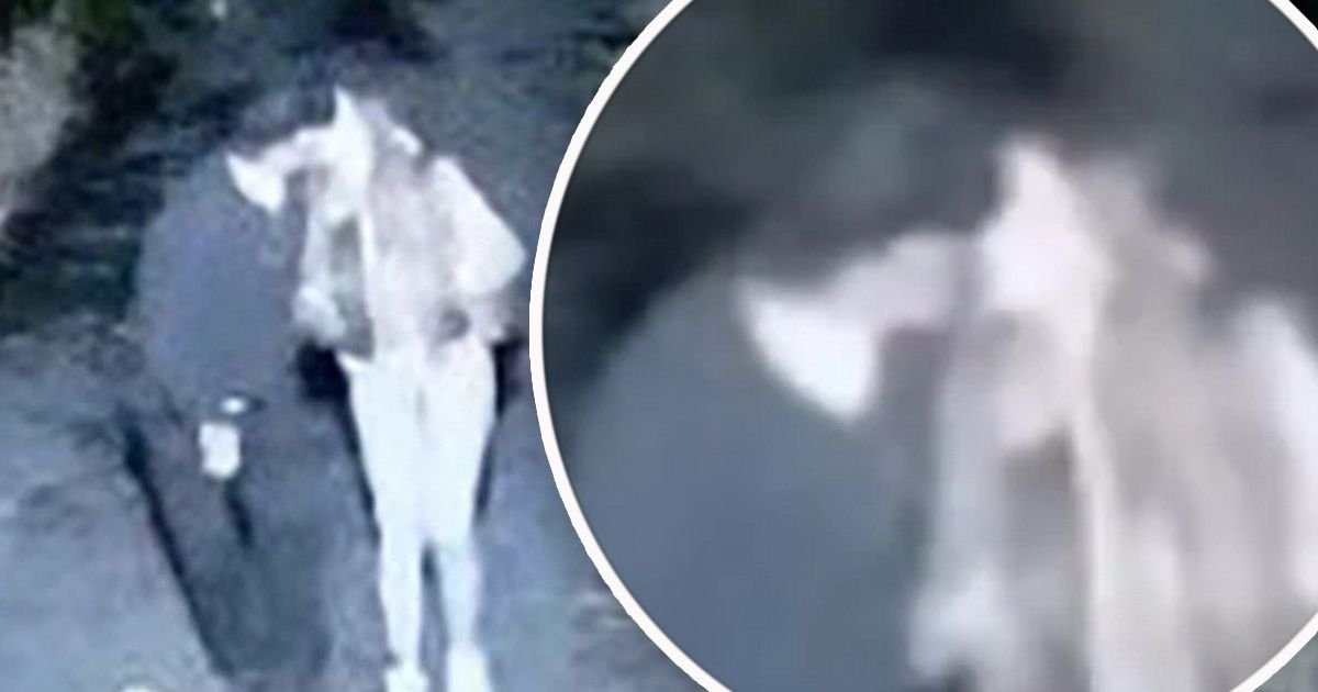 "Postoje njihovi intimni snimci" Novi šok detalji odnosa Sofije i Daneta (70), on pregovara da uđe u Elitu?!