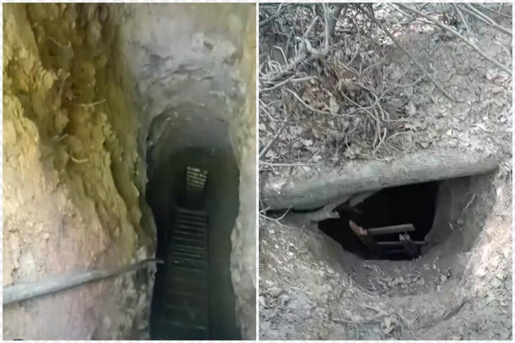 (VIDEO) OTKRIVENE MERDEVINE NASRED FRUŠKE GORE KOJE VODE U DUBOKI AMBIS Misterija u šumi: Stiglo dramatično upozorenje