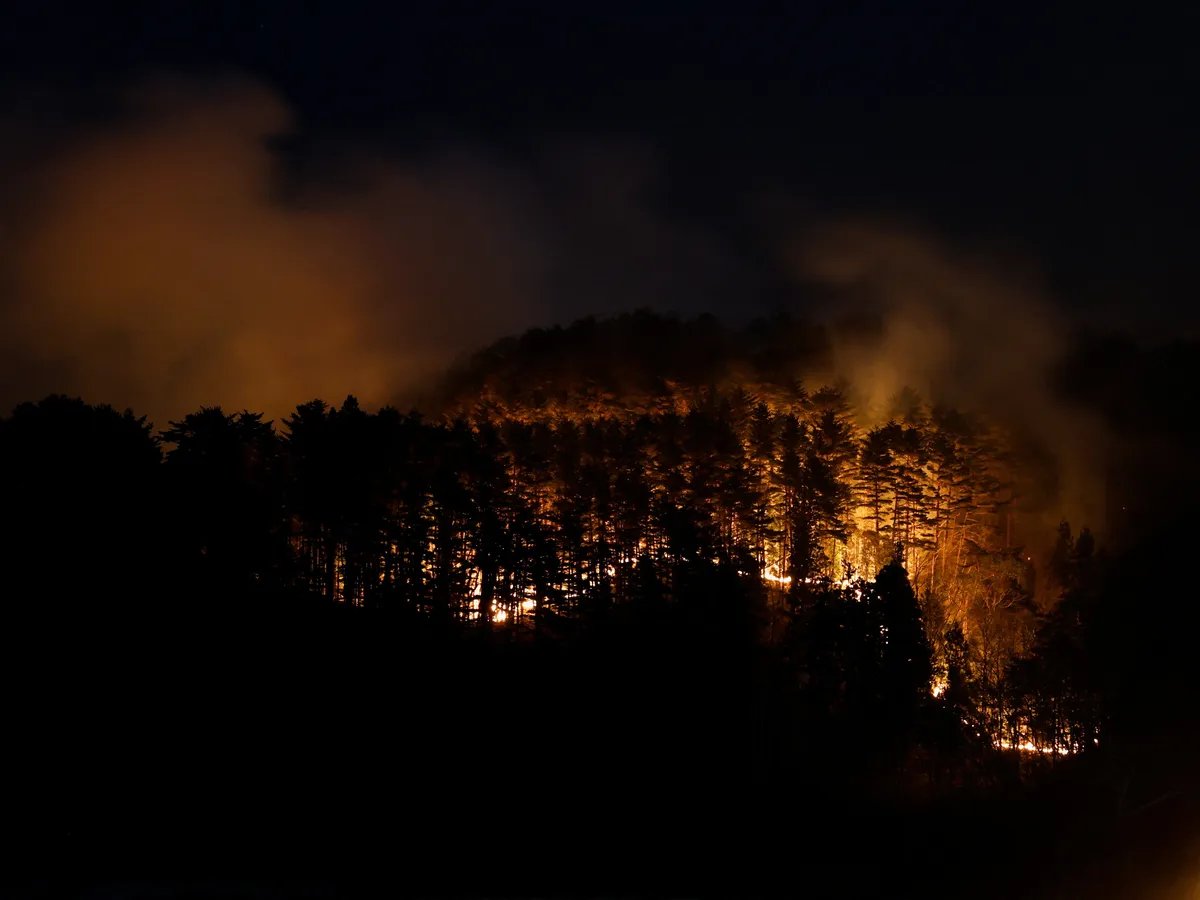 (FOTO) Vatrogasci u Japanu se bore da obuzdaju požare, više od 3.000 ljudi evakuisano