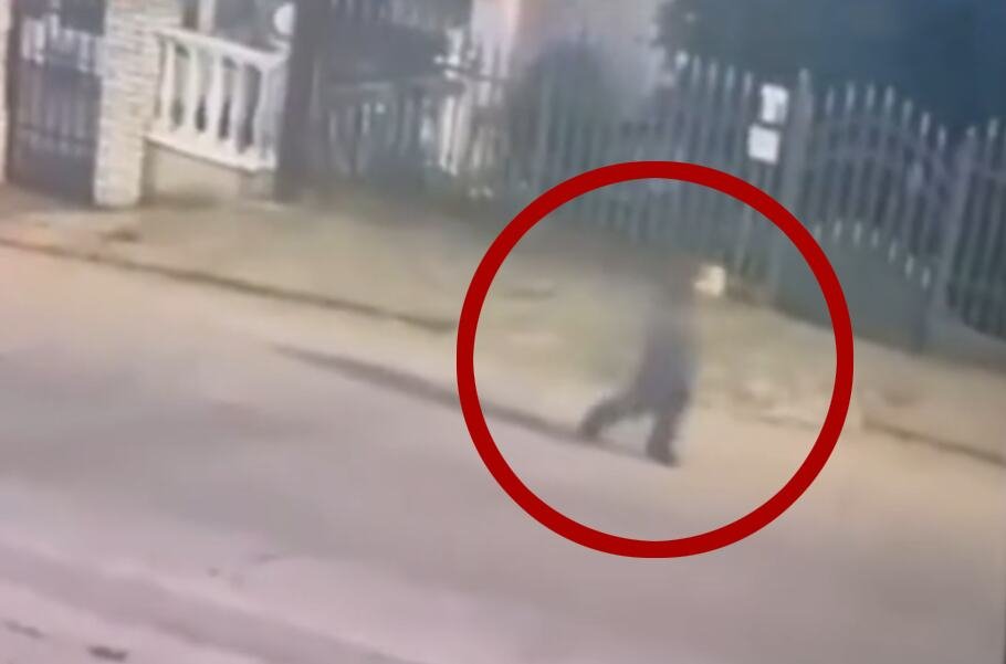 "NIJE BIO U VEŠERAJU ILI PODRUMU" Otkriveni najnoviji detalji nalaska nestalog dečaka u Nišu - vlasnik hostela otkrio šta je dete radilo