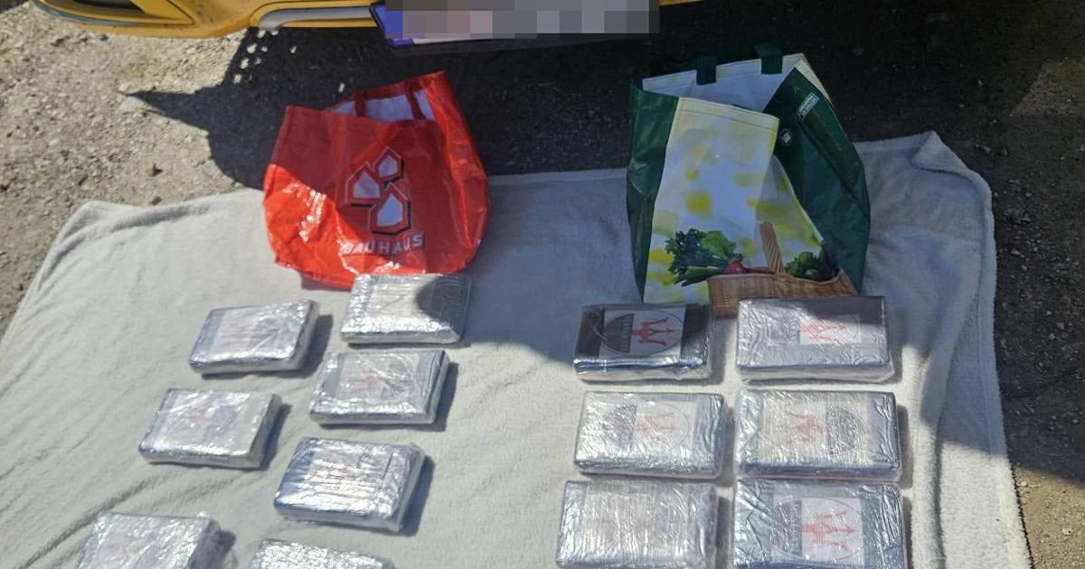 VELIKA ZAPLENA KOKIANA KOD MLADENOVCA! U kamionu nađena droga vredna milione, uhapšene tri osobe