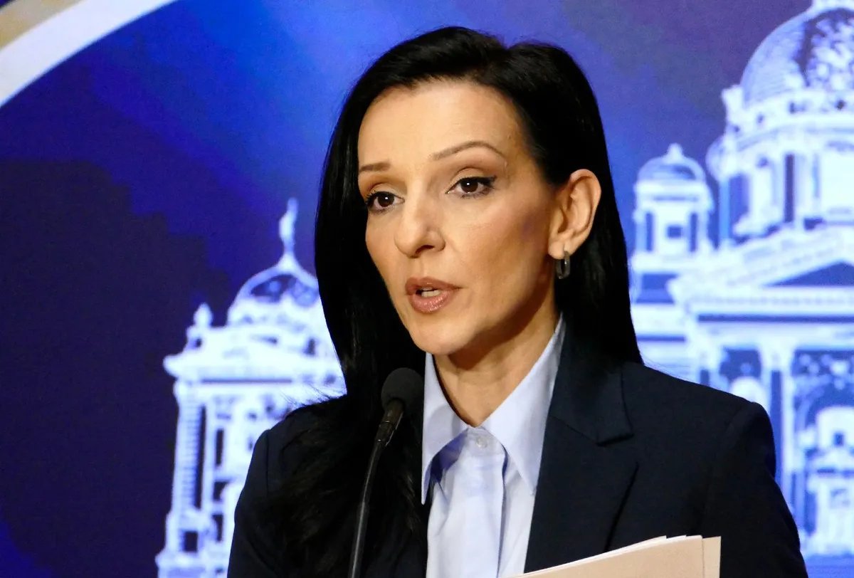 Tepić: Novinar Informera izmislio da je napadnut na tribini