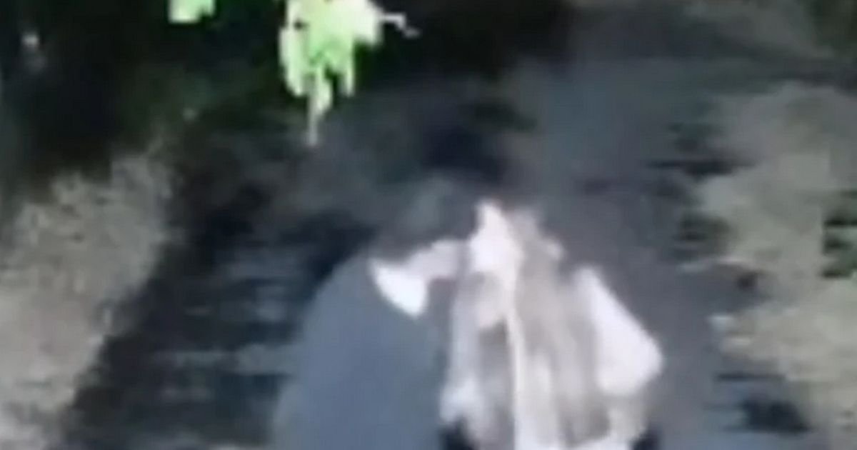 "Slao joj je pare i otplaćivao kredit" Nove šok tvrdnje o odnosu Sofije i Daneta (70) - Sve stalo kad se...