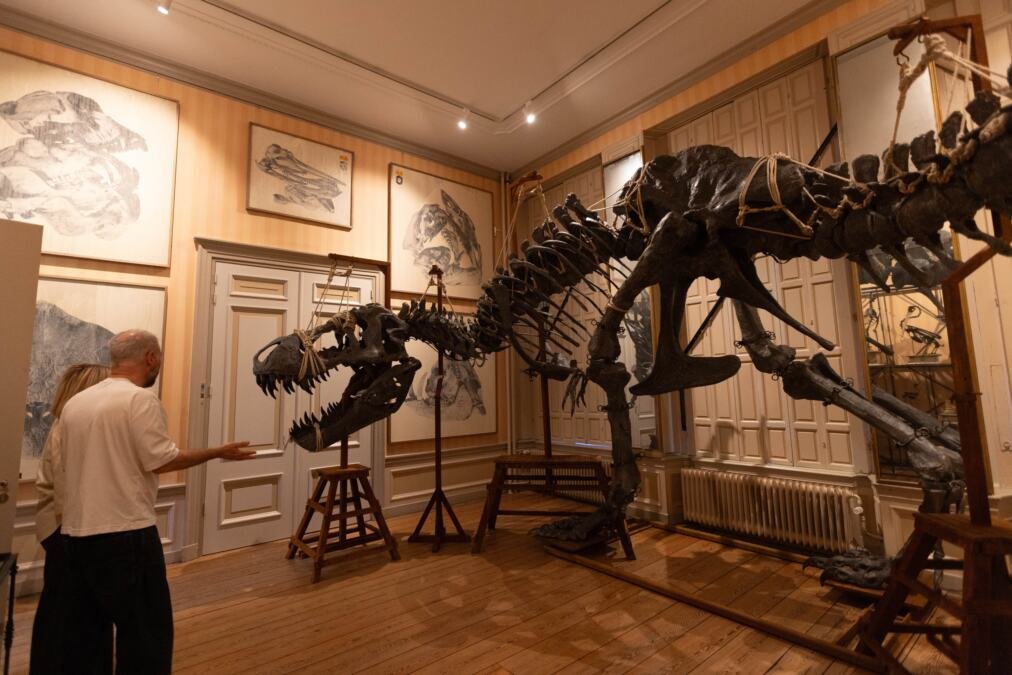 Dinosaurusi kakve do sada NIKAD NISMO VIDELI: U muzeju u Amsterdamu otvorena nesvakidašna izložba - ko ima priliku, ovo ne treba da propusti (VIDEO)