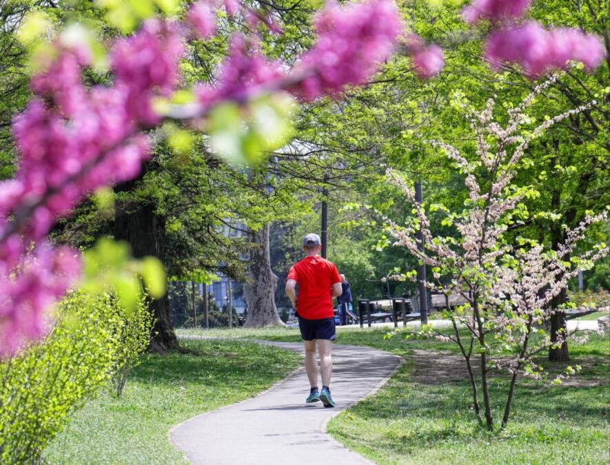 Vremenska prognoza: Hladno jutro, sunčan dan, a evo kad nam stiže kiša
