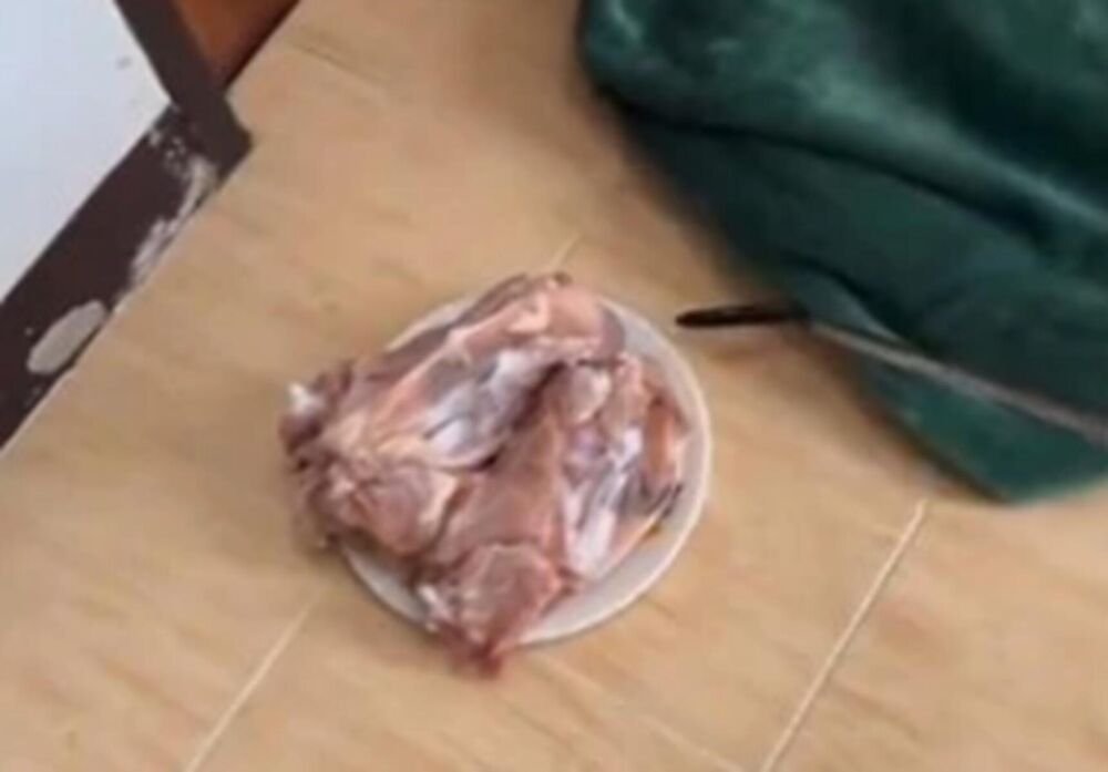 OVE 2 NAMIRNICE RAZARAJU ŠTITNU ŽLEZDU KAO SAM ĐAVO: Srbi ih jedu SVAKI DAN, a ne znaju koliko SU OPASNE!