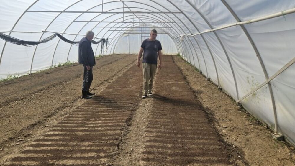 Cvetko ima skoro 90 godina, a radi od jutra do mraka: Sve što proizvede odmah proda, naručuju i za narednu godinu