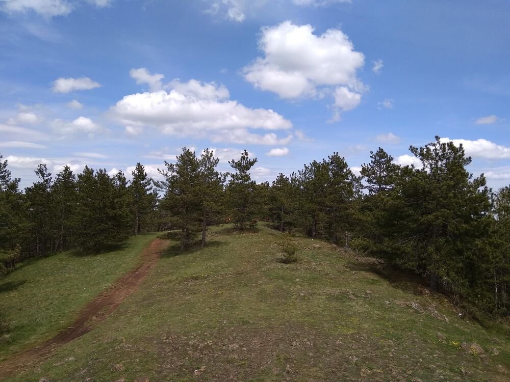 Ova srpska planina ima najčistiji vazduh, a baš je blizu Beograda: Idealan beg iz grada za Prvi maj