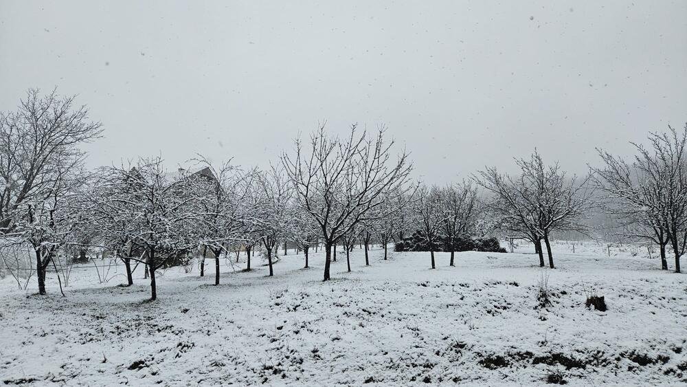 Sneg i mraz ponovo stižu u Srbiju: Ovi delovi zemlje će biti na udaru, sledi nagli preokret vremena