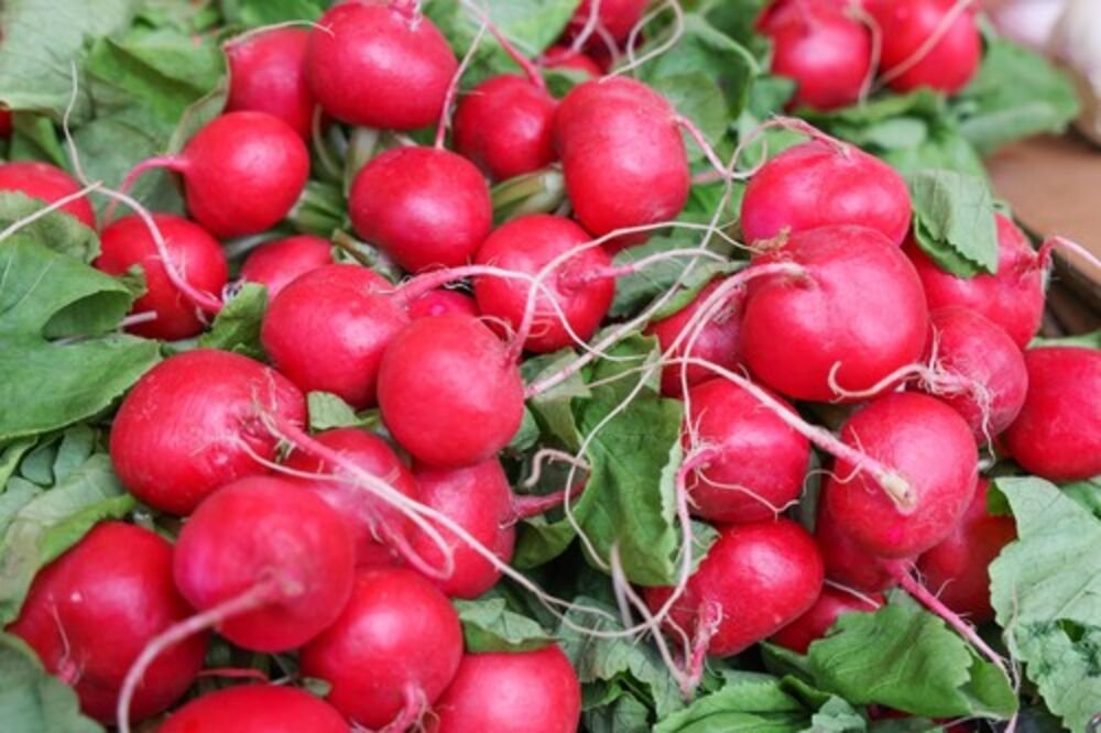 Ako volite rotkvice ovo je pravi recept za vas: Očas posla spremite prilog koji savršeno ide uz roštilj