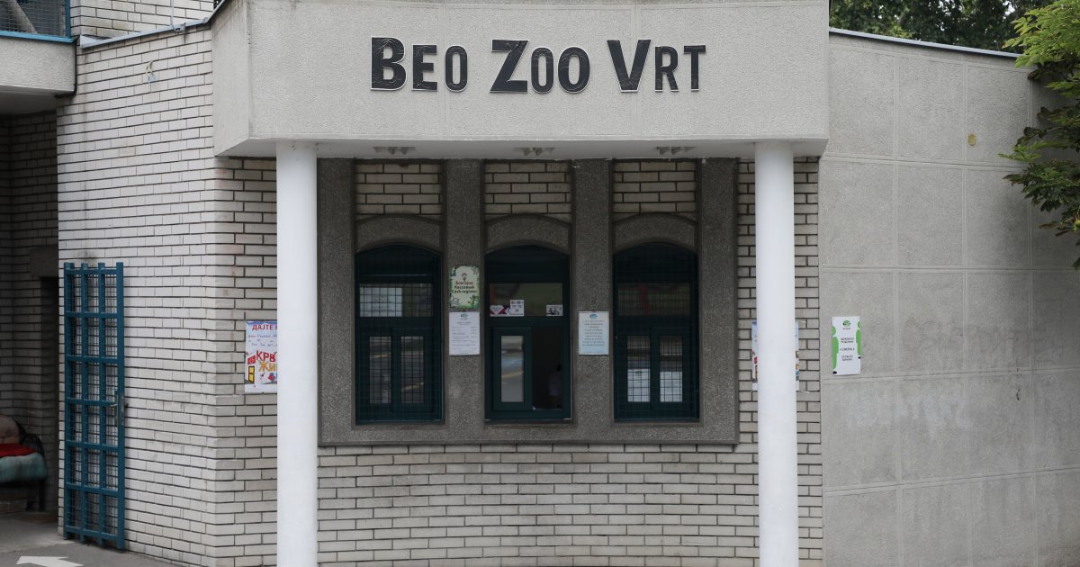 Prestonica je dobila najslađu zvezdu: Vredi pravo bogatstvo, a pogled na nju će vas totalno razoružati