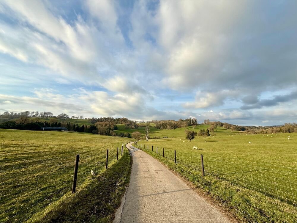 Nevrovatan biznis gde Srbi mogu da zarade: Skupite ih ovoliko i možete da ih prodate restoranima, daju velike pare