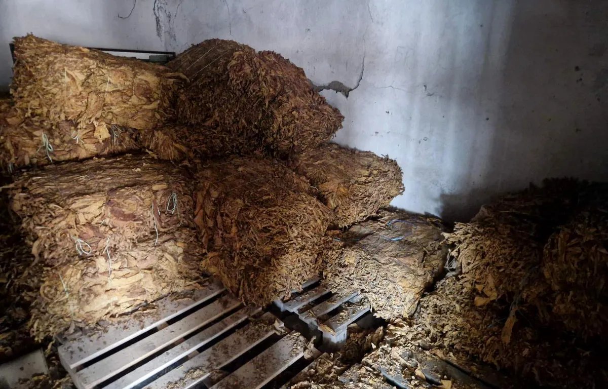 Uhapšen muškarac u Rumi zbog nedozvoljenog prometa duvana, zaplenjeno 540 kilograma