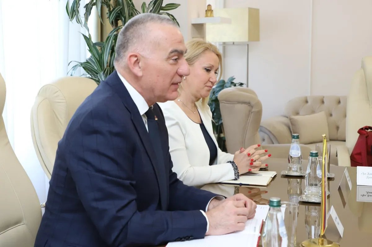 Justice minister discussed digitalization with IMF delegation