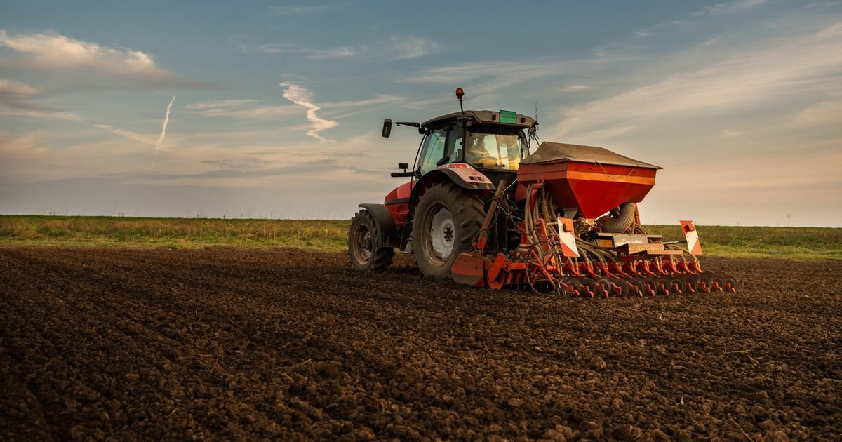 Ova biljka je BUDUĆNOST Srbije: Štedi novac, zarada je tu već posle prve sezone, a podnosi sušu bolje od soje