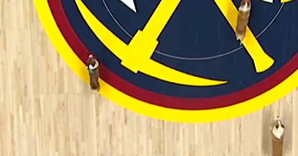 Luda pauza na meču Nikole Jokića: Psi se trkali na parketu Denvera, publika oduševljeno navijala!