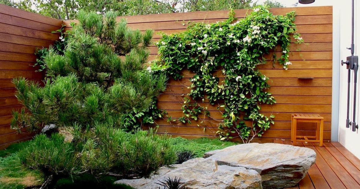 Imate ih u dvorištu, a ne znate koliko su opasne: Biljke koje izgledaju prelepo, a nisu bezazlene