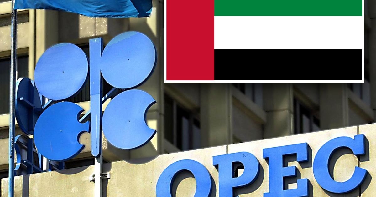 Šta znači izlazak Emirata iz OPEC-a? Jelica Putniković za Telegraf Biznis: Kartel je pod političkim tenzijama