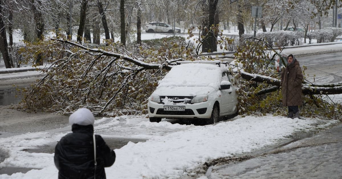 Neverovatni snimci iz Moskve, sneg ne prestaje da pada: Upaljeni meteoalarmi, oboreno više od 200 stabala